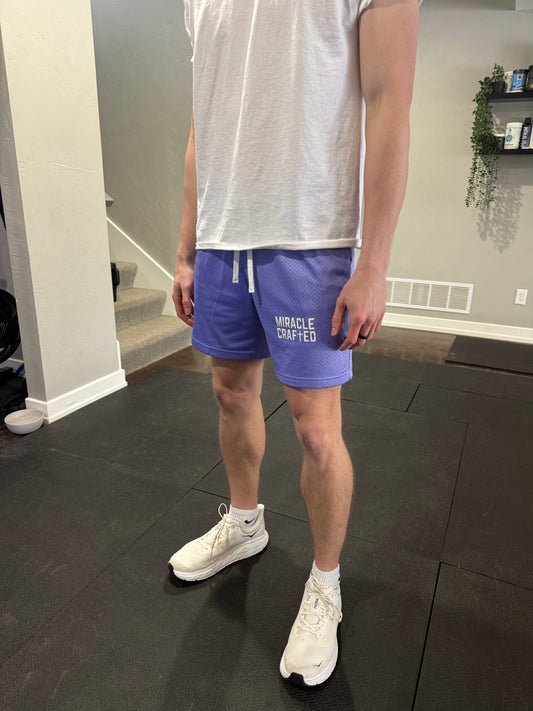 "Vertical Mark" Mesh Shorts